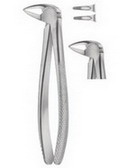 Tooth Extracting Forceps  